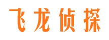 定日飞龙私家侦探公司